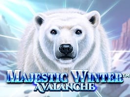 Majestic Winter Avalanche game cover